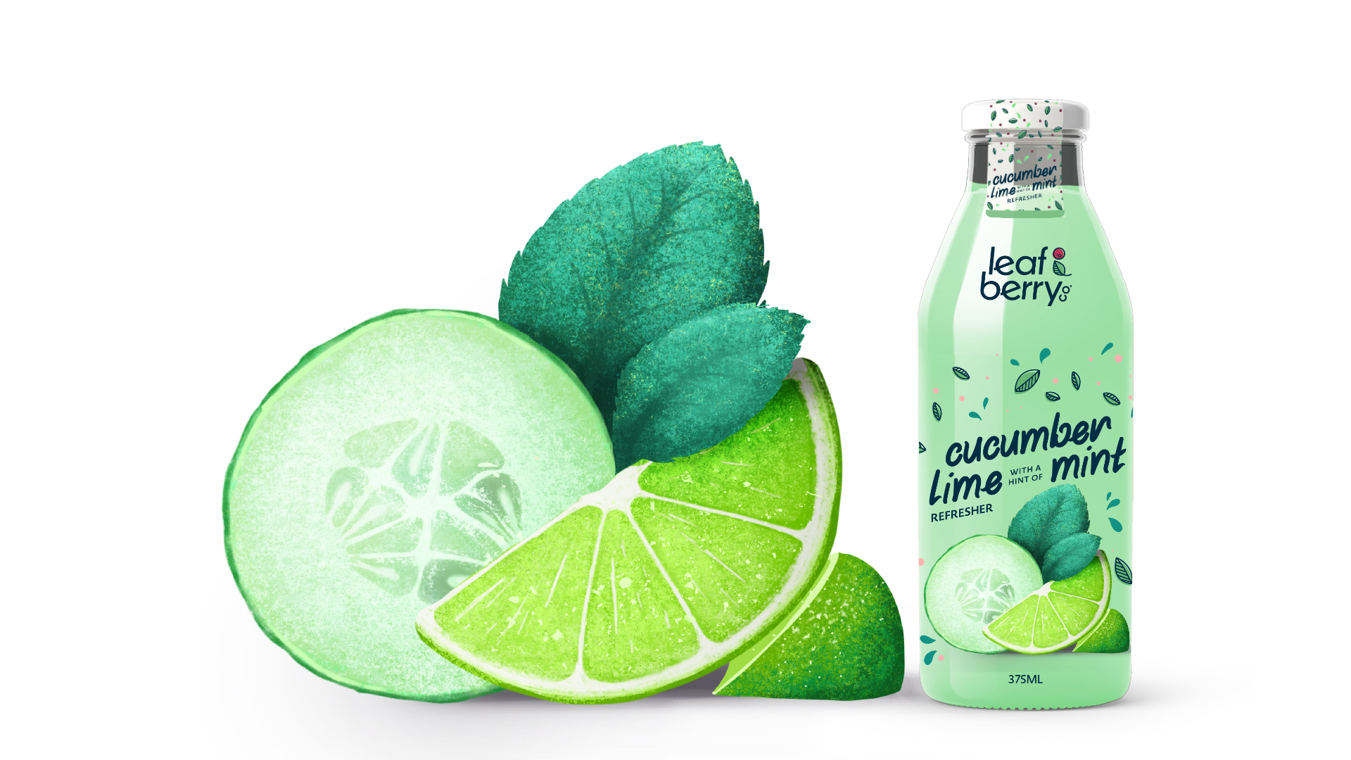 Illustration-Cucumber-Mint